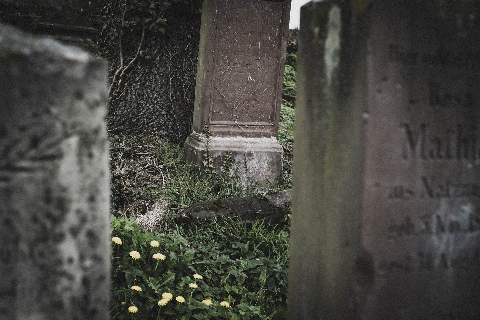 Borgholz, Jüdischer Friedhof